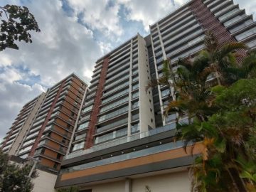 Arbo Alto de Pinheiros