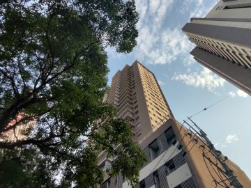 Highlights Pinheiros